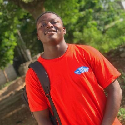 PaulBills18's profile picture. I have the talent to solve every problem with my artistic graphic designs.

graphic designer