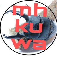 mhkuwa (@mhkuwa) 's Twitter Profile Photo mhkuwa (@mhkuwa) 's Twitter Profile Photo