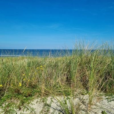 Vor dem ersten Kaffee ungenießbar. Hasst dumme Menschen. Regt sich gerne auf.