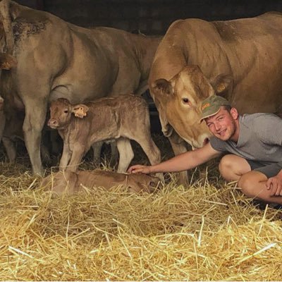 #JeuneAgriculteur en Haute-Marne 👨🏼🌾 #agriculture #élevage #GrandesCultures #VachesAllaitantes #EngraissementJB #CeuxQuiFontLaViande 🐮
