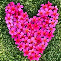 LynPT (@ptgildore) 's Twitter Profile