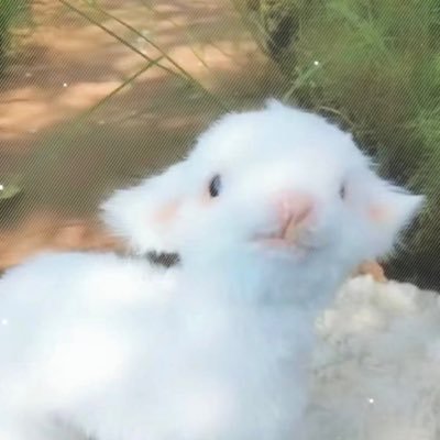 Lanxi0813's profile picture. 奢靡