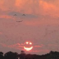 🇹🇷🙏bipolar.🙏🇹🇷 (@sinantoprak1) 's Twitter Profile