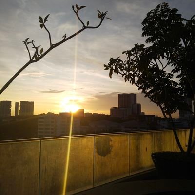 pencinta alam