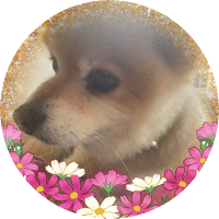 ใใใ๐ถ๐๐๐๐ฌ๐ (@kootan27) 's Twitter Profile Photo ใใใ๐ถ๐๐๐๐ฌ๐ (@kootan27) 's Twitter Profile Photo