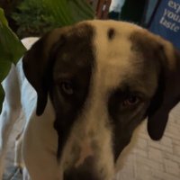 esty (@xtefffy) Twitter profile photo