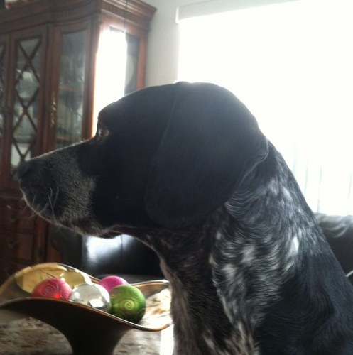 ChangLue's profile picture. 