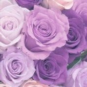 Name86211657272's profile picture. 投資家  資産40億  お金に困ってる人の為に投資などで増やした資産の配布を行っています。  毎日10万円配布中✨ フォローで応募ください🤙🏻
 ココから✌🏻 https://t.co/3P3OUfRppf