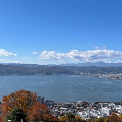 sdt05498's profile picture. M1 / データサイエンス