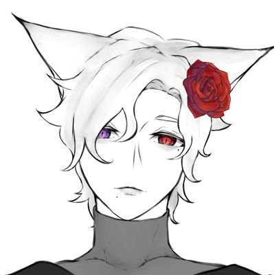 Acrasia ☠️🦊(😺)さんのプロフィール画像