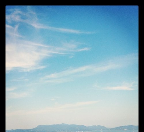 tino0712's profile picture. 