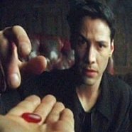 style7037's profile picture. F**** C***