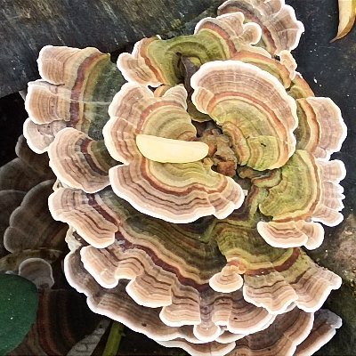 job624's profile picture. 