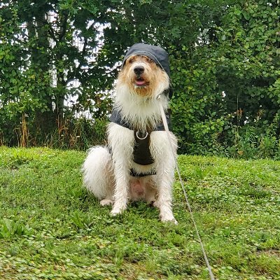 jol420's profile picture. 