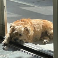 Geer (@geerzorg) 's Twitter Profile