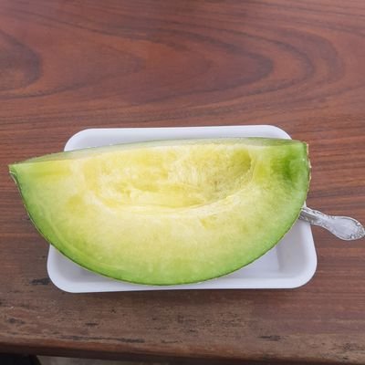 めろんです!横浜、横須賀、千葉、他で15軒!戸建て賃貸業!DIY派!自力客付け派!大家の皆さん仲良くしてください!
