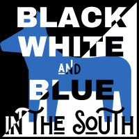 Black, White and Blue in the South(@BWaBitS) 's Twitter Profile Photo