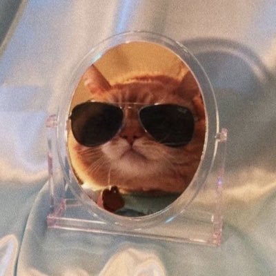 Hllsprdwm_1's profile picture. 