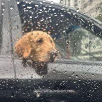 jo (@ncomobeterraba) 's Twitter Profile