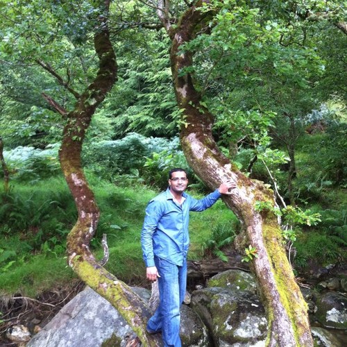 YousafHafeez's profile picture. 