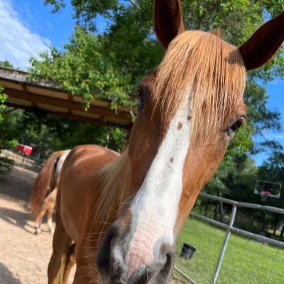 Keldoron's profile picture. Love to go horse backriding & being a mother to my amazing children and love being a wife to my wonderful husband Colin