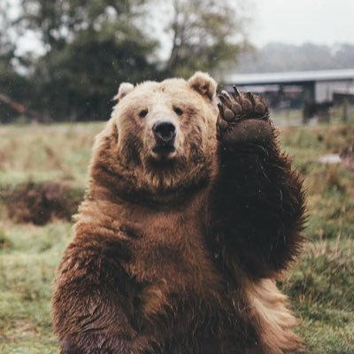 ro_yamata's profile picture. 