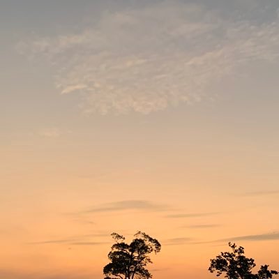 18↑22↓学生/お取引初心者/お声がけして頂く際はツイフィ&固定ポスト必読です/既読印としていいね使用します/☆瑛一、トキヤ、嶺二、瑛二(うたプリ)リリア(ツイステ)英智(あんスタ)...etc.(☆は最推しです)/同担拒否ありません
