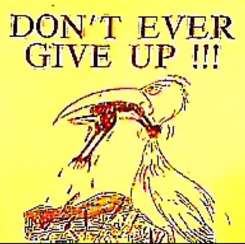 alovelyday2u's profile picture. 