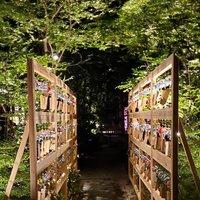 蜜 (@mitsu_minnits) 's Twitter Profile