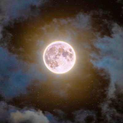 arwaalraghe's profile picture. لحُسن الحظ إنك محبُوبي
