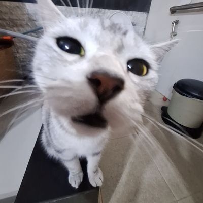 ex_txx_z's profile picture. 