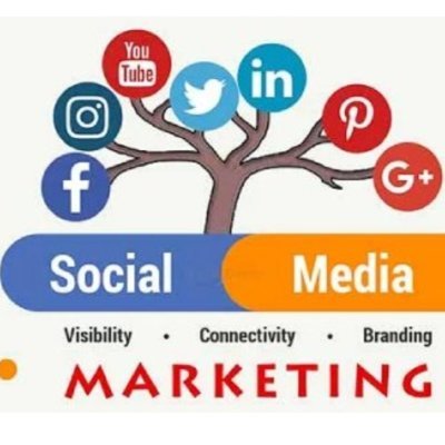 I am a professional digital marketer with 1 year experience. I will provide Twitter, Linkedin, Facebook, Seo,Google ads,Instagram marketing service.