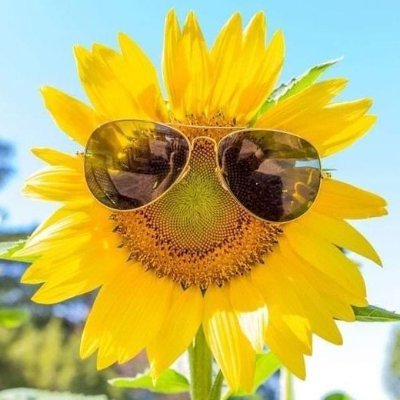 GeekBohemian's profile picture. Free range Christian in a KC suburb.  
Just another pawn in the billionaire wars.  
Observe much, comment little.
My pronouns are: He / Is / Risen