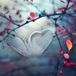 KamrynMood3139's profile picture. Statistician