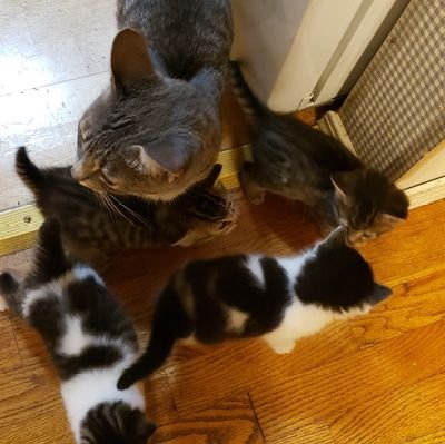 sfzero3's profile picture. 