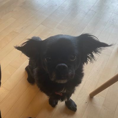 3K elo (boosted) CS2. 4.1K elo CSGO Anchor/Lurker. playing for Fortress Main
https://t.co/e3nXJYgkS6