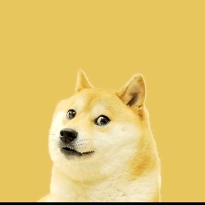AlfredDona7598's profile picture. Inhale the Good Exhale the Bullshit 
DOGECOIN SQUAD XĐ