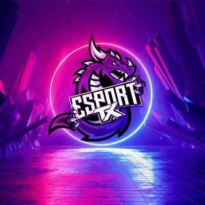 Responsable du pôle R6  Manager des roster R6 TX E-sport Structure sous lois 1901