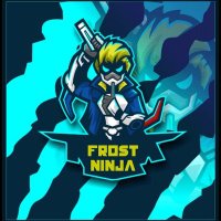 ▄︻デF̷r̷0̷s̷t̷N̷i̷n̷j̷a̷══━一(@fr0stninja_) 's Twitter Profile Photo