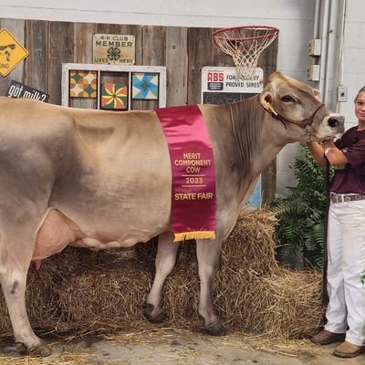 Dairy and Crop farmer. Sports fanatic