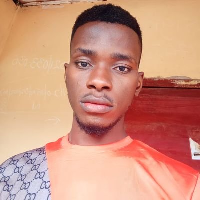 My name is Chukwubuikem Goodnews Chisom... I'm a graphic designer... I believe in myself and I love working towards my goals... I love sincere people...
