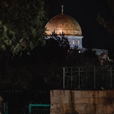 sajeda78780155's profile picture. Palestinian🇵🇸🇵🇸