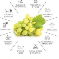 Macfrut (@macfrutfiera) 's Twitter Profile