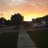 TORRENTES505's profile image