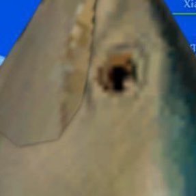 Whatisgoingon49's profile picture. 