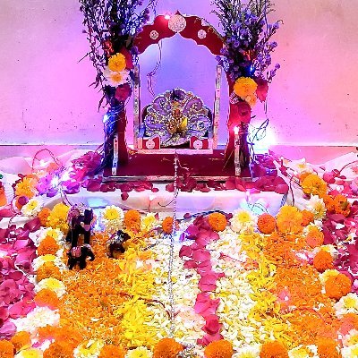 gotbot960086's profile picture. 