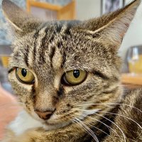 GMaryH (@gabriellah6250) 's Twitter Profile Photo