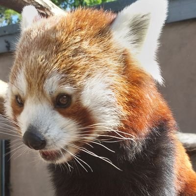 angie_c_w's profile picture. Fully fledged geek.

Clinical Audit, Patient Outcomes, Clinical Standards and Quality Improvement aficionado. 

Views are my own.