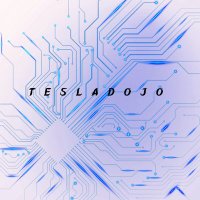 Tesla Dojo 🦋𝕏(@tesladoj0) 's Twitter Profile Photo