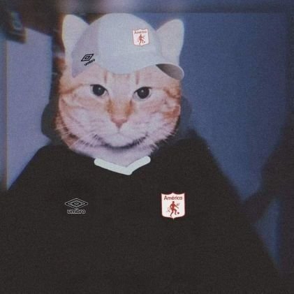 Jeanc_0122's profile picture. 🇦🇹 ♻️ 💰